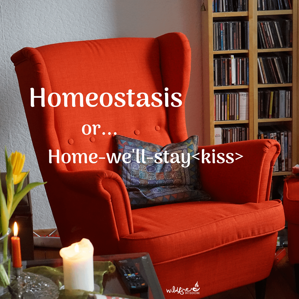 orange chair in den homeostasis