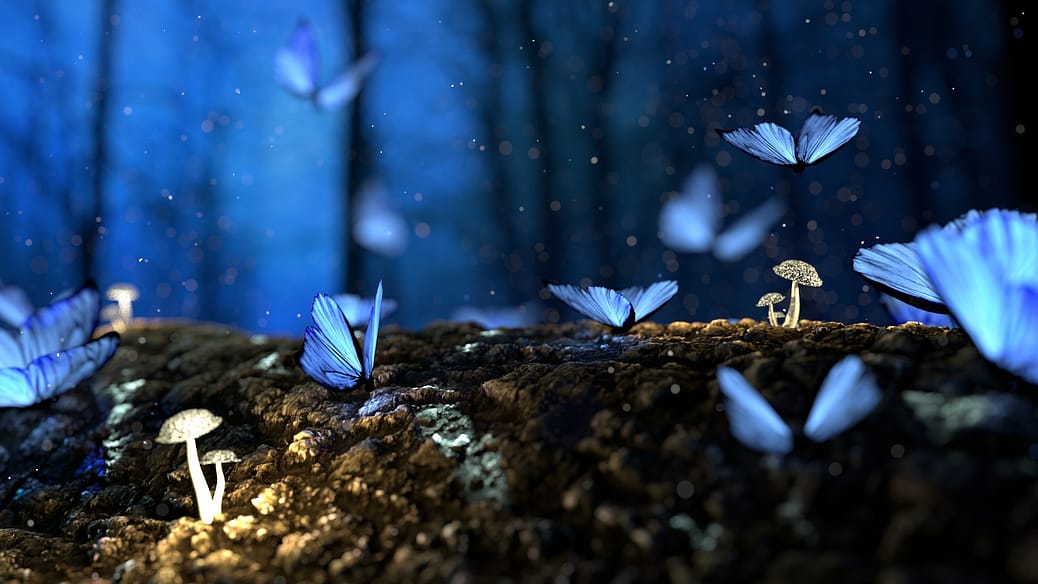 butterfly transformation healing butterflies flying in the forest
