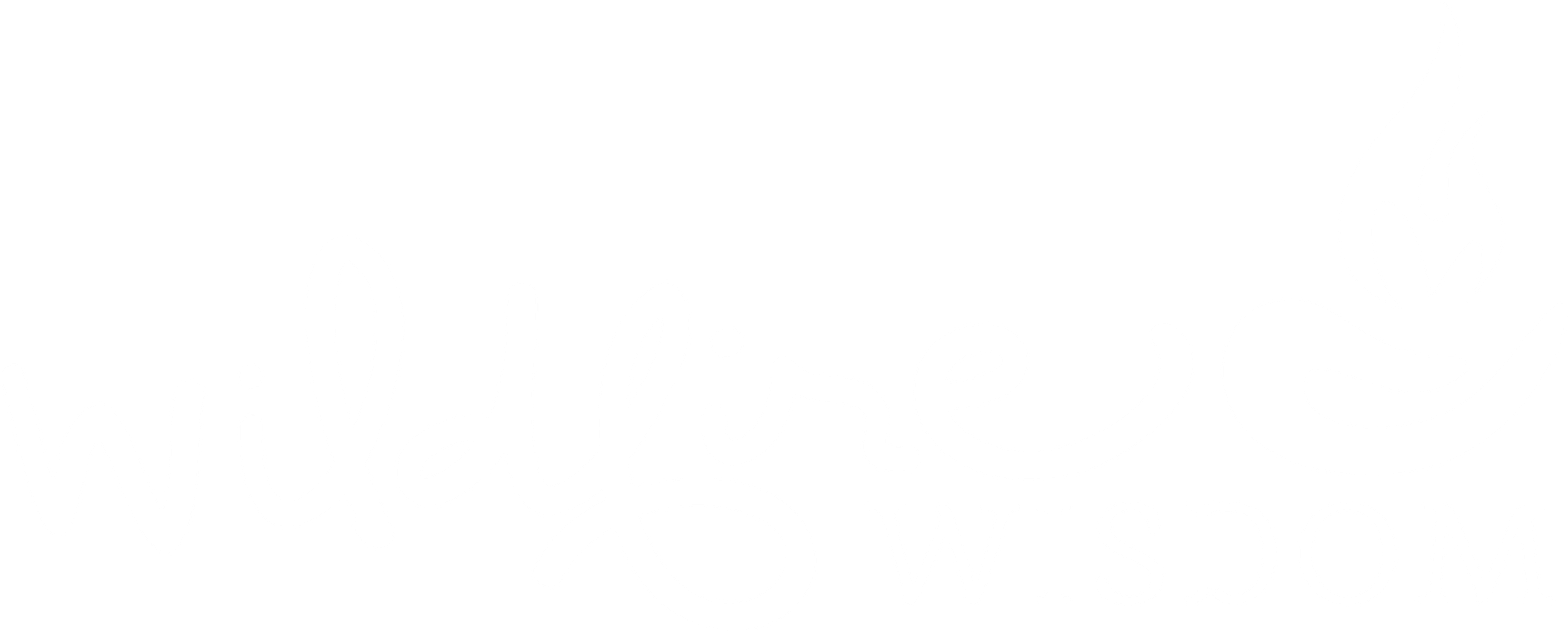 WildfireWisdomLOGOwhite wildfire wisdom logo